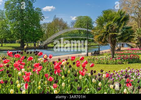 Primavera sull'argine di Bedford Foto Stock