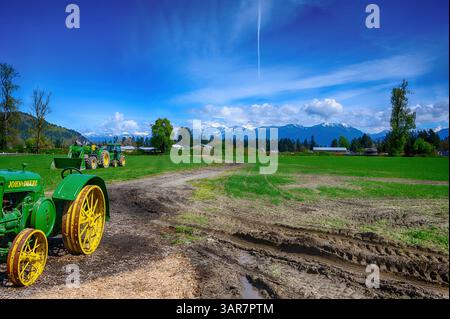 I trattori d'epoca sono parcheggiati in un lussureggiante campo verde, circondato da montagne lontane. Il cielo azzurro rispecchia una splendida giornata primaverile, ideale per far lontano Foto Stock