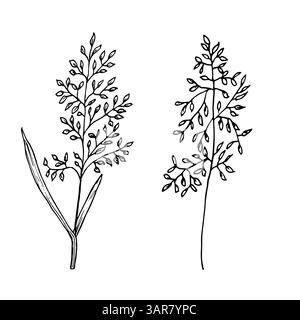 Una lama d'erba con piccole foglie, un fiore selvatico, uno schizzo bianco e nero. Illustrazione vettoriale. Un set di verme e fiori secchi evidenziati su wh Illustrazione Vettoriale