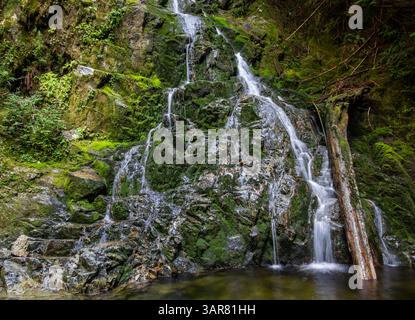 L'acqua limpida scorre su rocce strutturate, circondate da muschio verde vibrante in una foresta tranquilla. La luce del sole filtra gli alberi, creando un'atmosfera serena Foto Stock
