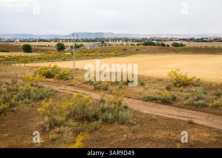Si dispiega un vasto paesaggio che mostra campi, sentieri sterrati e una città lontana sotto un cielo coperto, evocando un senso di tranquillità. Natura autunnale. Foto Stock