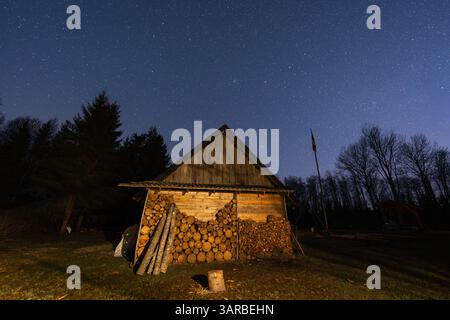 Legno rifornito di legna da ardere ben impilata, illuminato sotto un cielo stellato e limpido in un'area rurale. Foto Stock