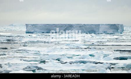 Il ghiaccio di mare frantumato circonda un grande iceberg tabulare nel Mare della Scozia meridionale. Foto Stock