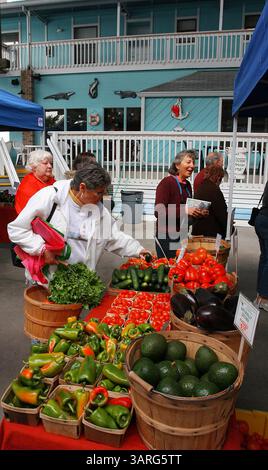 17 febbraio 2010 - Punta Gorda, Florida, USA - SCOTT KEELER | Times. SP 318528 KEEL PUNTAGORDA PUNTA GORDA(02/16/2010) 7. I clienti scelgono di recente varie verdure biologiche dal mercato verde di Worden Farm nel Villaggio dei pescatori, Punta Gorda. Il centro include vari negozi, ristoranti, strutture per il porticciolo e affitti di ville per vacanze giornaliere e settimanali. (Immagine di credito: © St. Petersburg Times/ZUMApress.com) Foto Stock