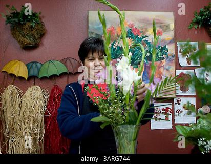14 febbraio 2010 - Redding, California, Stati Uniti - il fiorista Redding e la designer floreale Candy Bouquet Deborah Smith mettono insieme gli arrangiamenti domenica durante la corsa di San Valentino. Il negozio aveva riempito quasi 200 ordini a metà giornata. "Questo è il nostro secondo periodo più affollato dell'anno dopo la festa della mamma, ha detto Smith. Non tutti hanno un amante, ma tutti hanno una madre. (Immagine di credito: © Redding record Searchlight/ZUMApress.com) Foto Stock
