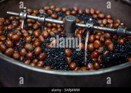 Arrostire le castagne con il carbone Foto Stock