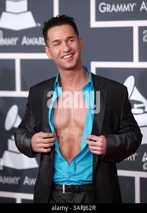 31 gennaio 2010 - Los Angeles, California, USA - LA SITUAZIONE arriva per lo spettacolo dei Grammy Awards. (Crediti: © Lisa o'Connor/ZUMA Press) Foto Stock