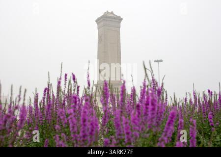 01 lug 2013 - Pechino, Cina - (immagine di credito: © Jiwei Han/ZUMAPRESS.com) Foto Stock
