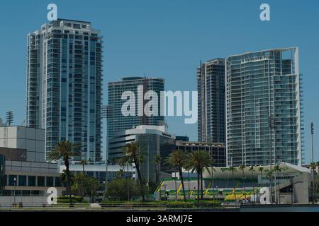 Vista dall'Albert Whitted Playground di St. Petersburg, Florida. Esplorate un vivace skyline urbano con alti edifici contemporanei e lussureggianti palme Foto Stock