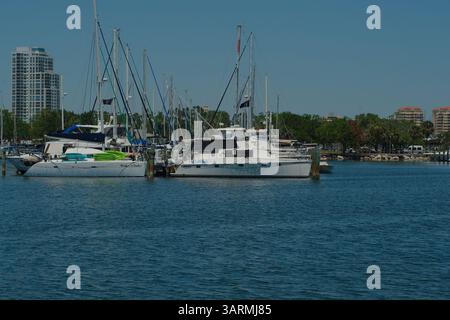 Vista dal parco giochi Albert Whitted nel bacino sud degli yacht a St. Petersburg, Florida. Verso il porticciolo e le barche attraccate. Skyline del centro città. Alberi e vela Foto Stock
