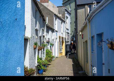 Tenby (gallese: Dinbych-y-pysgod, lett. "Fortlet of the fish") è una città e comunità di mare nella contea di Pembrokeshire, Galles. Foto Stock