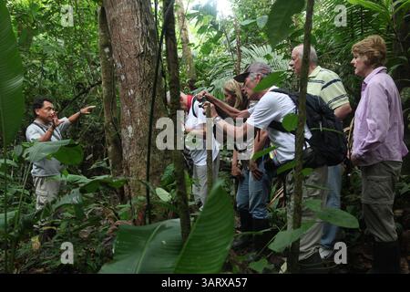 15 agosto 2013 - Coca, Orellana, Ecuador - en la foto estÃ el guÃ­a RaÃºl de Manatee Amazon Explorer indicando la vegetaciÃ³n del bosque hÃºmedo Tropical a unos Tourist extranjeros en el Yaku kawsay del Parque Nacional YasunÃ­ a orillas del Rio Napo . Foto: GDA/Eduardo Teran Urresta . / El Comercio / Ecuador (immagine di credito: © El Comercio/GDA/ZUMAPRESS.com) Foto Stock