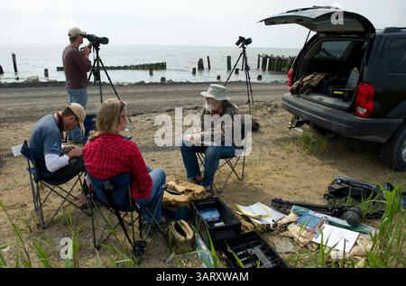 15 maggio 2013 - Port Mahon, DE, USA - gli scienziati registrano i dati mentre i volontari imparano a etichettare i tipi di Sandpipers intrappolati sulla spiaggia di Port Mahon, Delaware, 15 maggio 2013. Da sinistra, volontario, Neil Dampier, 35 anni, del Sudafrica, Kevin Kalasz, 39 anni, di Delaware Fish and Wildlife, studente e volontario dello stato del North Carolina, Morgan Parks e Greg Breese, supervisore del biologo Fish and Wildlife, dello U.S. Fish and Wildlife Service. (Immagine di credito: © Mary F. Calvert/MCT/ZUMAPRESS.com) Foto Stock