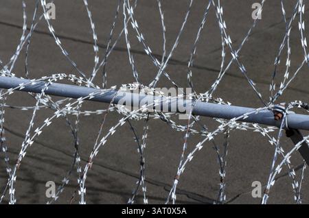 Filo spinato barriera Foto Stock