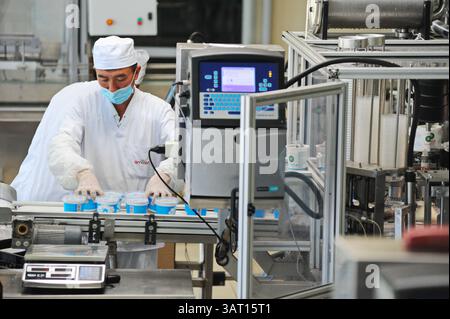 Imbottigliamento e cernita di prodotti finiti a base di latte fermentato in fabbrica. Foto Stock