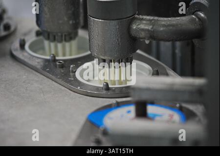 Imbottigliamento e cernita di prodotti finiti a base di latte fermentato in fabbrica. Foto Stock