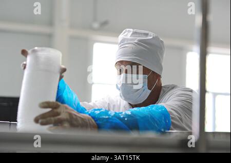 Imbottigliamento e cernita di prodotti finiti a base di latte fermentato in fabbrica. Foto Stock