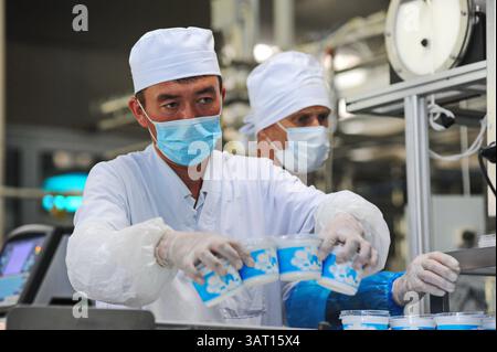 Imbottigliamento e cernita di prodotti finiti a base di latte fermentato in fabbrica. Foto Stock