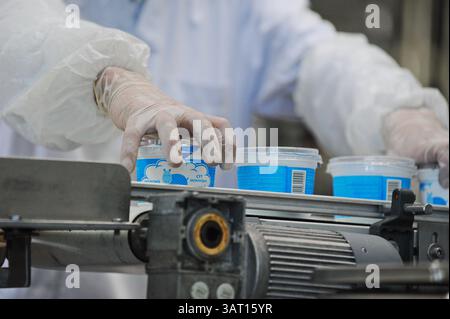 Imbottigliamento e cernita di prodotti finiti a base di latte fermentato in fabbrica. Foto Stock