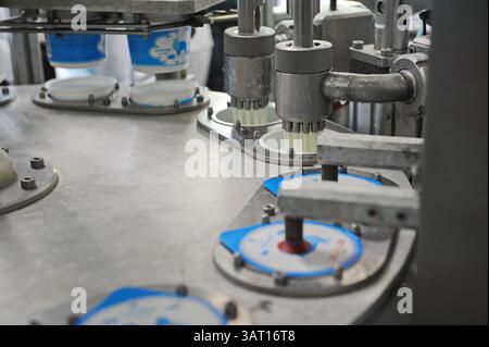 Imbottigliamento e cernita di prodotti finiti a base di latte fermentato in fabbrica. Foto Stock