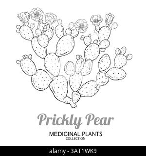 Illustrazione del Cactus a pera pungente. Illustrazione Vettoriale
