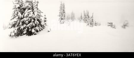 Panorama innevato a Stevens Pass, Washington State, Stati Uniti Foto Stock