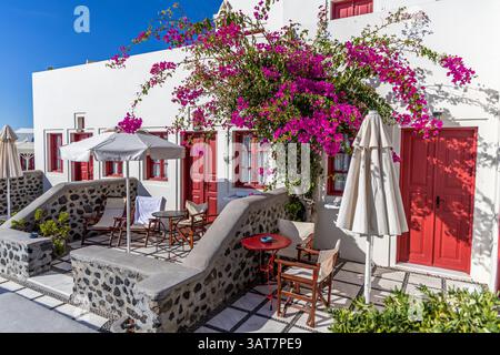 Bellissimo cortile di Oia con pareti dipinte di bianco, porte rosse e Bougainvillea. Foto Stock