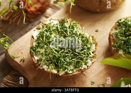 Germogli o microgreen freschi del giardino su un panino con burro Foto Stock