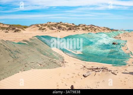 Fuoriuscita di olio combustibile. Duna di sabbia di barriera ricoperta da rete protettiva dall'olio combustibile gettato a terra dalle onde. Disastro ecologico, metodi di eliminazione. Foto Stock