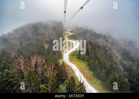 Vista aerea del paesaggio della foresta invernale dalla funivia di Shinhotaka, Takyama, Gifu, Honshu, Giappone Foto Stock