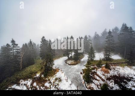 Vista aerea di un paesaggio forestale invernale dalla funivia di Shinhotaka alla stazione di Nishihotakaguchi, Takyama, Gifu, Honshu, Giappone Foto Stock