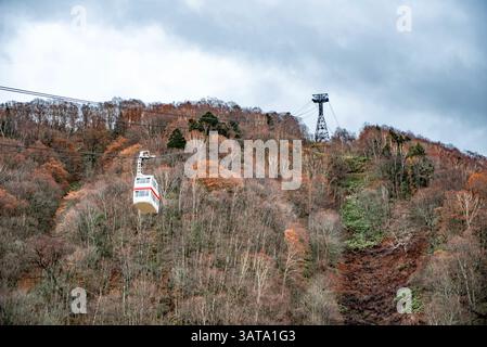 Funivia di Shinhotaka che si muove su un paesaggio forestale invernale, Takyama, Gifu, Honshu, Giappone Foto Stock