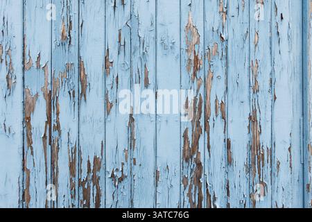 Parete di legno blu con vernice staccata. La struttura esterna di un edificio e' intempestiva. Sfondo astratto di una vecchia struttura del materiale. Dettagli grintosi. Foto Stock