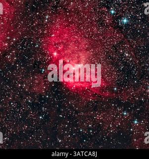 La nebulosa di Tulip (Sharpless 101) è una nebulosa ad emissione di regione H II situata nella costellazione di Cygnus. Si trova a una distanza di circa 6.000 anni luce fr Foto Stock