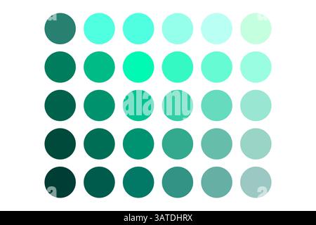 Tavolozza cerchio verde. Layout sfumatura punti. Campioni di colore rotondi. Schema di tonalità vettoriale. Illustrazione Vettoriale