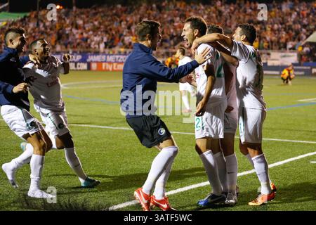 3 agosto 2013 - Hempstead, NY, USA - l'attaccante dei New York Cosmos ALESSANDRO NOSELLI (22) festeggia con i compagni di squadra dopo aver segnato il gol vincente contro i ft Lauderdale Strikers al James R Shuart Stadium. (Immagine di credito: © Anthony Gruppuso/Independent Image/ZUMAPRESS.com) Foto Stock