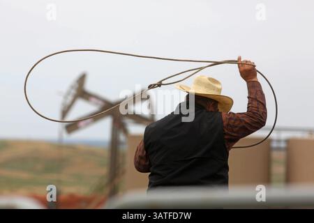 23 ottobre 2013 - Keene, North Dakota, USA - Una pompa e serbatoi di stoccaggio in una vicina riserva petrolifera incombe dietro Milo Wisness mentre aiutava il bestiame corallino per il marchio del vicino Doug Olson vicino a Keene, North Dakota. Arrotondare il bestiame e marcare i vitelli è una tradizione tramandata ogni anno da generazioni di North Dakotan in primavera. Le famiglie si aiutano a turno a svolgere l'arduo rito annuale in tutto lo stato, anche nella piccola città di Keene, nella contea di McKenzie, ricca di petrolio. La scena fa da sfondo alla nuova ondata di lavoratori che sono venuti nella regione in cerca di lavoro a Bakken o Foto Stock