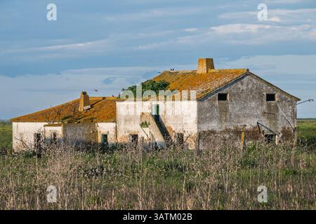 Una vecchia casa deserta a Doñana è tranquillamente circondata da erba alta e da un cielo azzurro, che mostra la bellezza della natura. Foto Stock