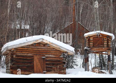 20 marzo 2016 - CAN - l'autore Jack London è venuto al Klondike nel 1897 in cerca della sua fortuna; è andato a casa rotto ma ispirato -- e ha lasciato questa cabina, ora parte del Jack London Museum di Dawson City. (Immagine di credito: © Alan Solomon/TNS via ZUMA Wire) Foto Stock