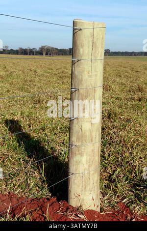 Dettaglio della costruzione di una nuova recinzione in acciaio nell'azienda agricola in campagna in Brasile Foto Stock