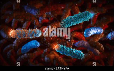 Batteri a forma di asta, illustrazione. Esempi di batteri a forma di canna includono Escherichia coli e Salmonella sp. Foto Stock