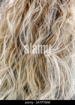 Primo piano di capelli ondulati biondi naturali, sfondo astratto con fili morbidi e morbidi Foto Stock