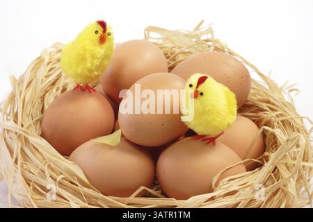 Nido di Pasqua con pulcini giocattolo su sfondo chiaro pulcini pasquali nel nido su sfondo bianco Foto Stock