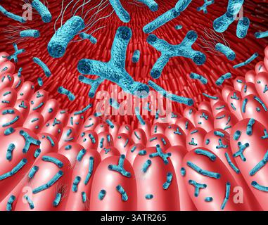 Intestino microbiota batteri probiotici buoni nell'intestino come batterio probiotico all'interno del corpo come microflora digestiva nel colon o nell'intestino come microb Foto Stock