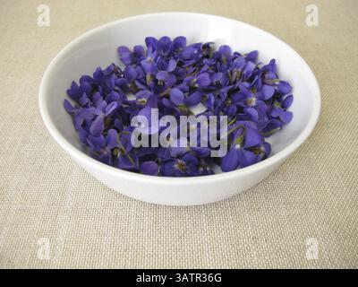 Violette profumate appena raccolte, fiori di violette profumate in una ciotola poco profonda Foto Stock