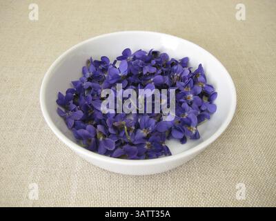 Violette profumate appena raccolte, fiori di violette profumate in una ciotola poco profonda Foto Stock