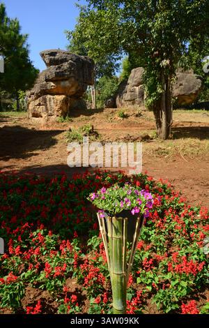 formazioni rocciose mor hin khao, tailandia stonehenge chaiyaphum provincia phu laen kha national park Foto Stock