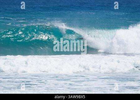 Surfista cavalcando in un'onda di botte nell'oceano. Foto Stock