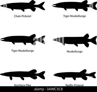 Silhouette Pike, Pickerel e Muskie Vector – 6 pesci predatori d'acqua dolce Illustrazione Vettoriale