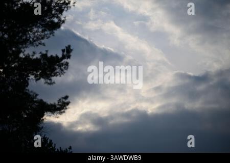Skånes-Fagerhult, Skåne, Svezia. 16 aprile 2025. Cielo nuvoloso. Foto Stock